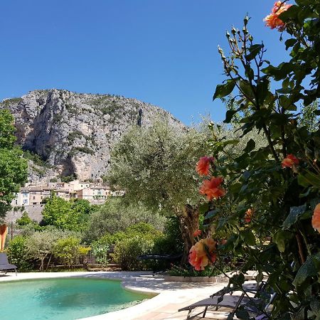 Bed and Breakfast Bastide des Oliviers Moustiers-Sainte-Marie Exterior foto