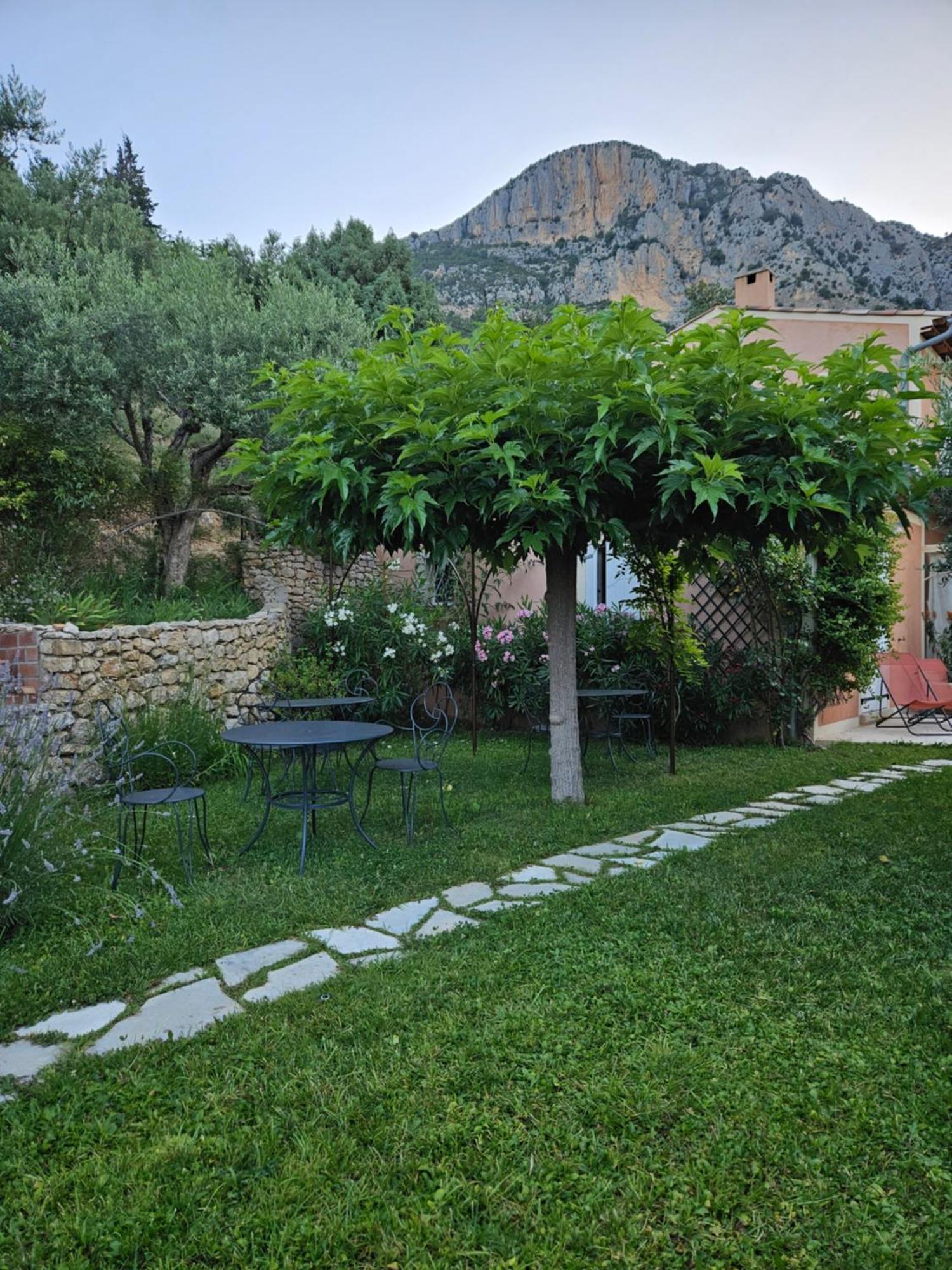 Bed and Breakfast Bastide des Oliviers Moustiers-Sainte-Marie Exterior foto